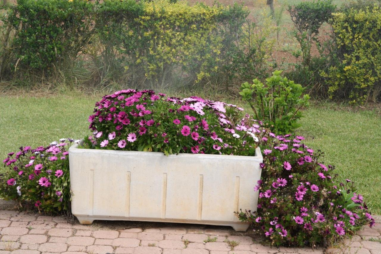 Villa Cabirol Fertilia Extérieur photo